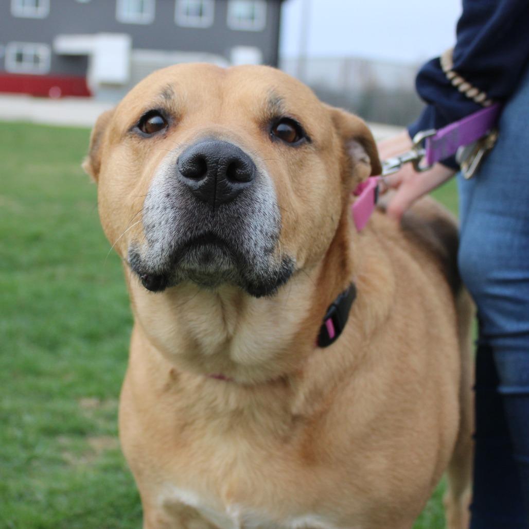 Tella Rose — thumbnail 6