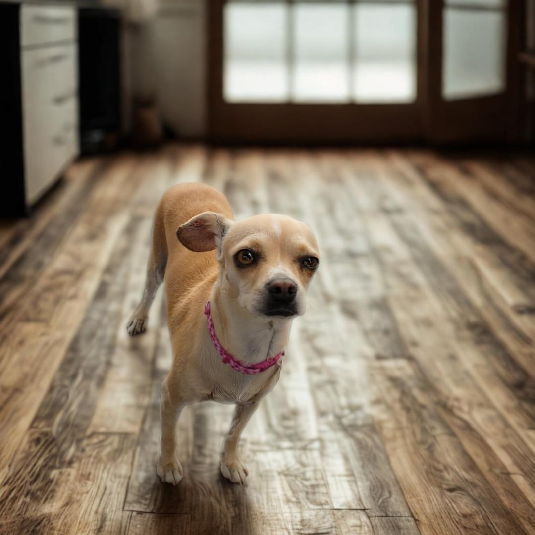 Mimi (Diamond in the Rough)