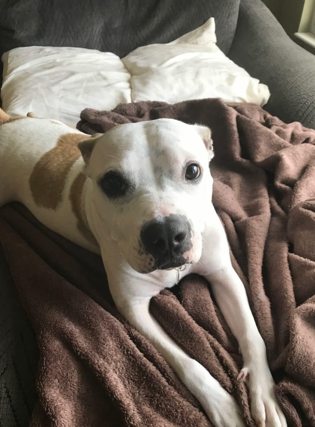 Harvey & Izzy — thumbnail 2