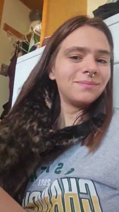 Enlarge Camila, a Adoptable Domestic Short Hair in Milwaukee, WI video 3/6