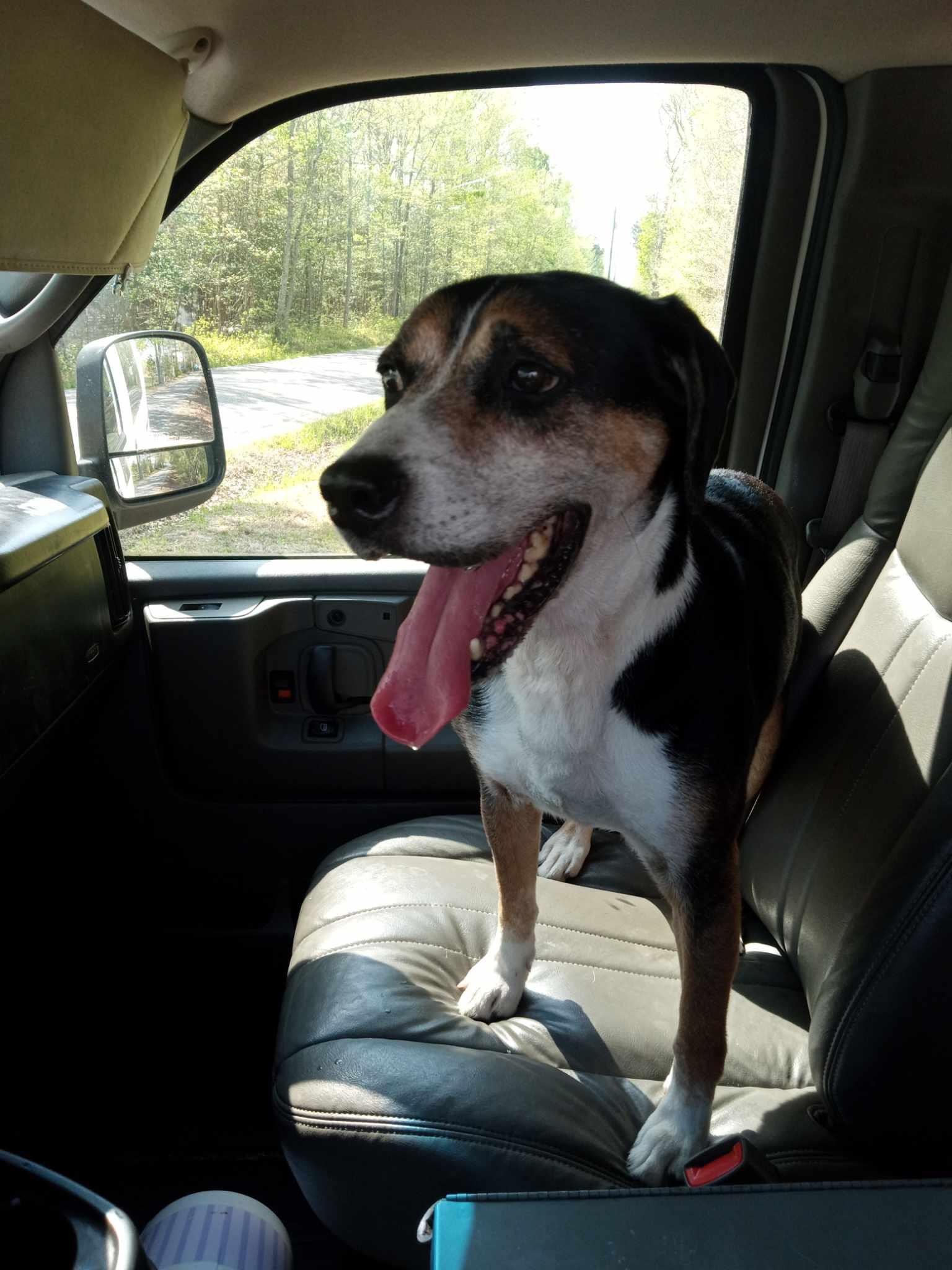 Gunner photo 5