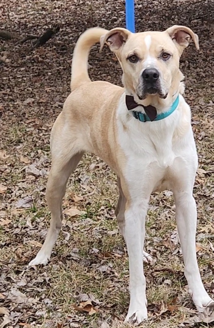 Cooper photo 1