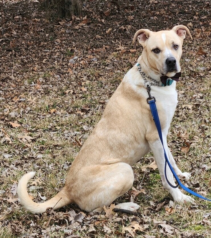 Cooper photo 3