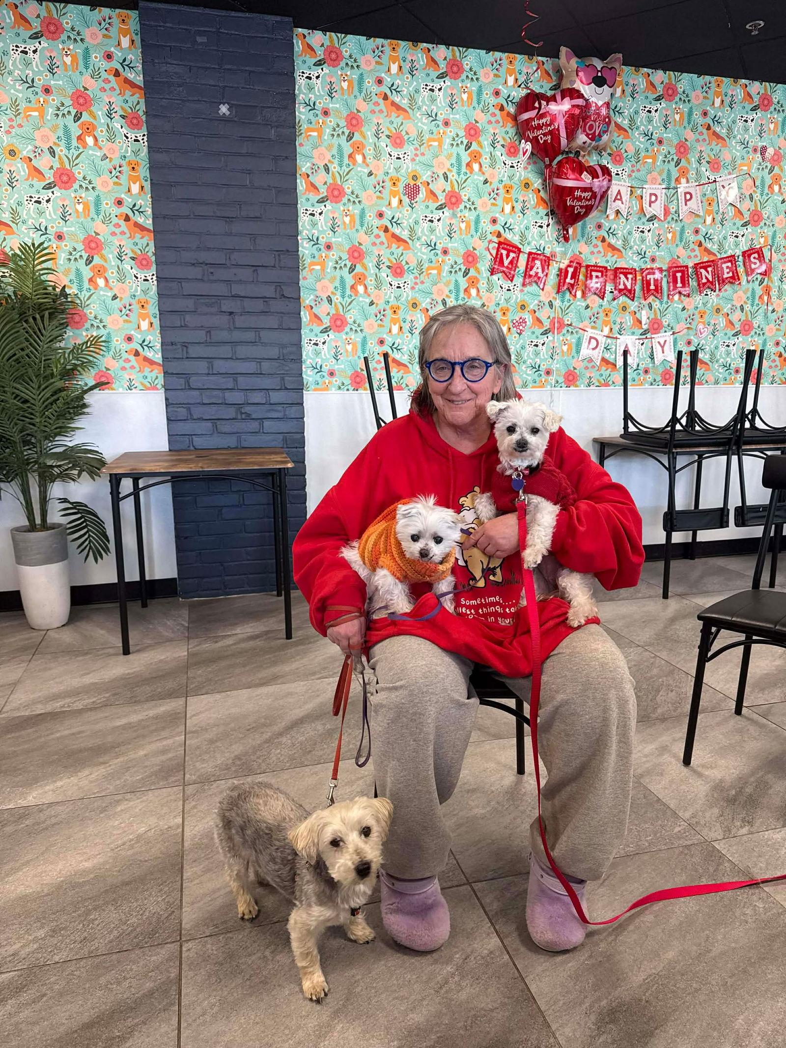 Poki TX, Adopted, Senior Female Maltese.