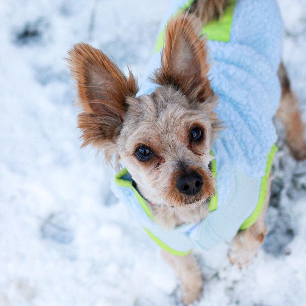 Squirtle thumbnail 2