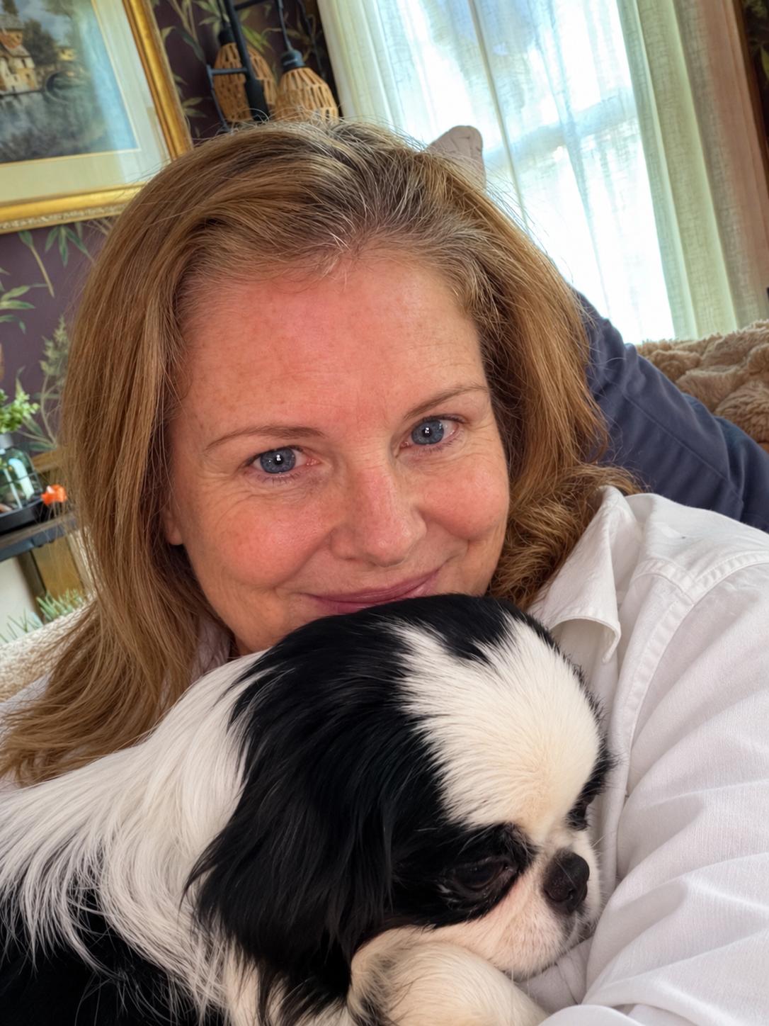 Enlarge Japanese Chin Pups, a Adoptable Japanese Chin in POTOMAC, MD image 3/6