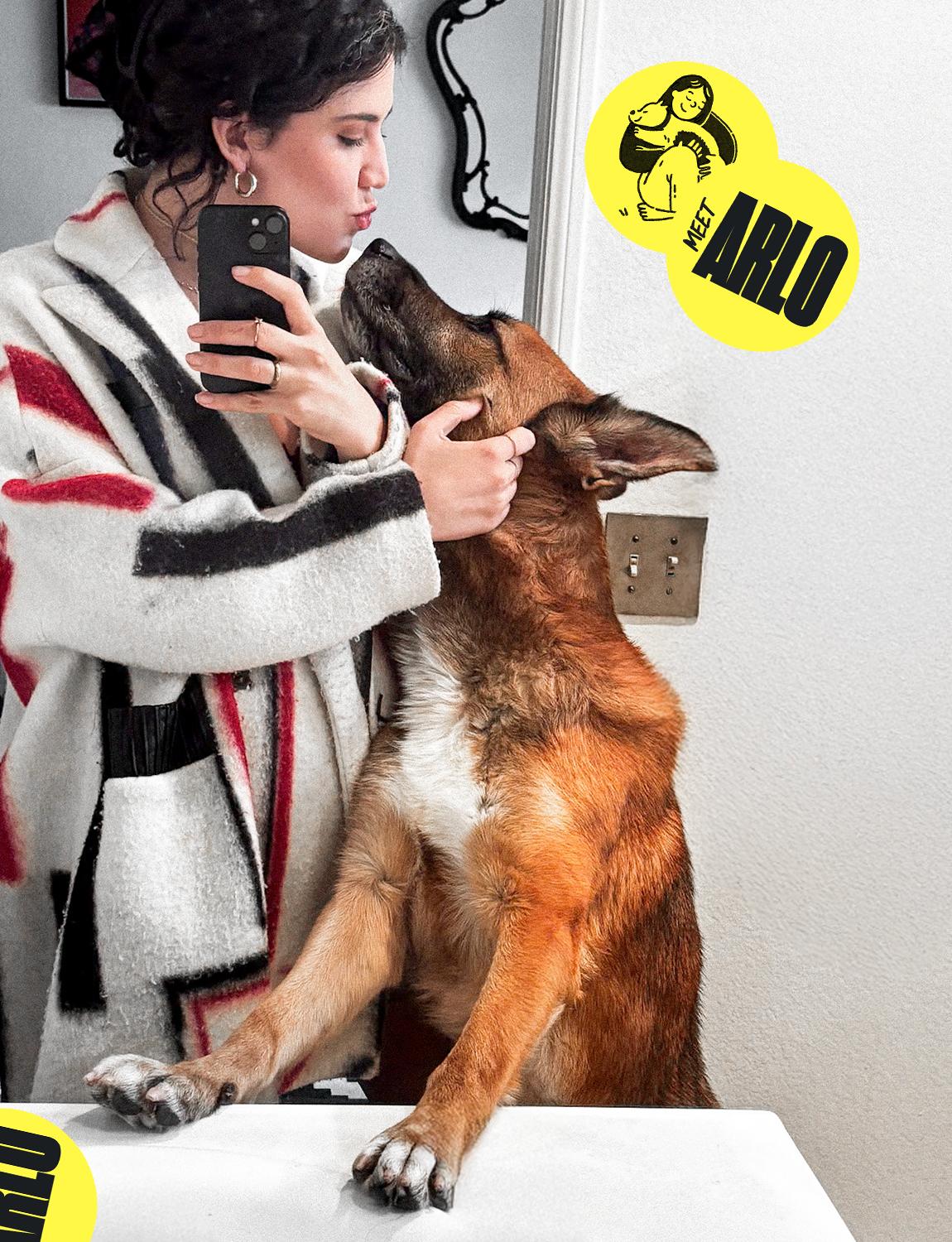 Enlarge Arlo, a Adoptable mixed breed in Los Angeles, CA image 4/6