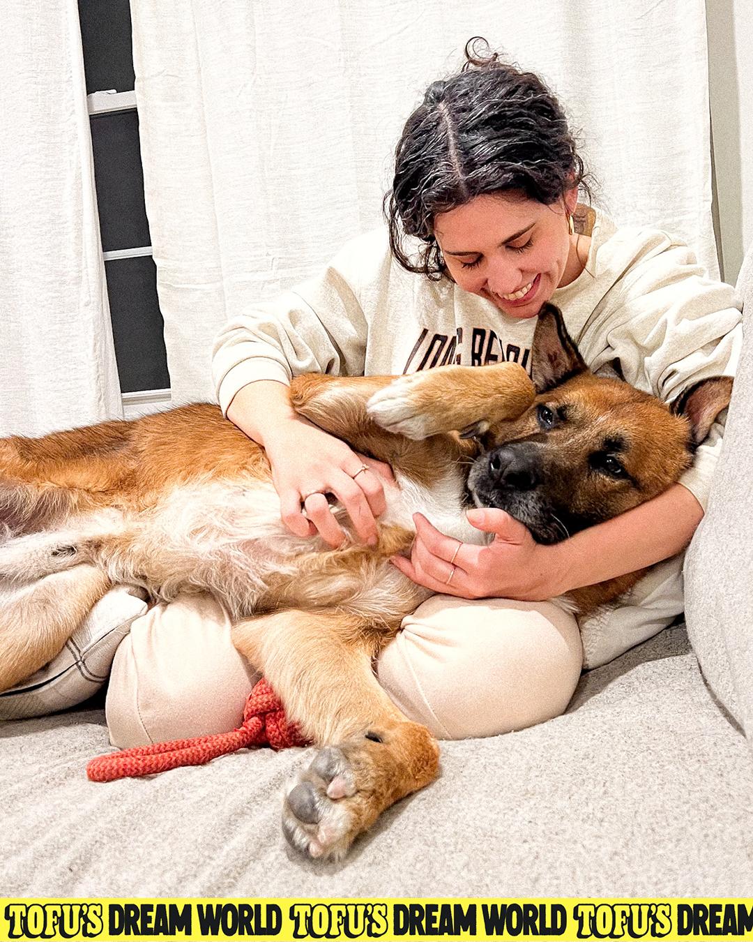 Enlarge Arlo, a Adoptable mixed breed in Los Angeles, CA image 2/6