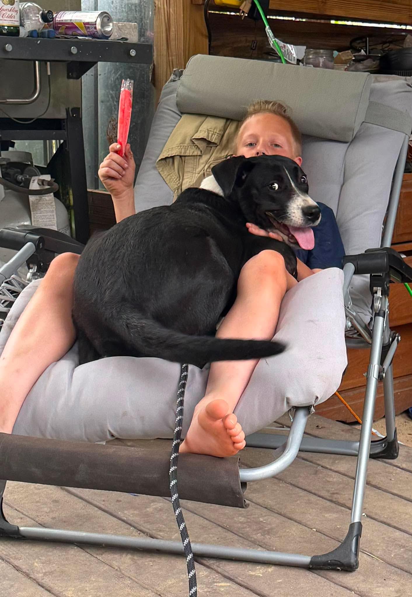 Enlarge Sallie, a Adopted mixed breed in Melbourne , FL image 3/4