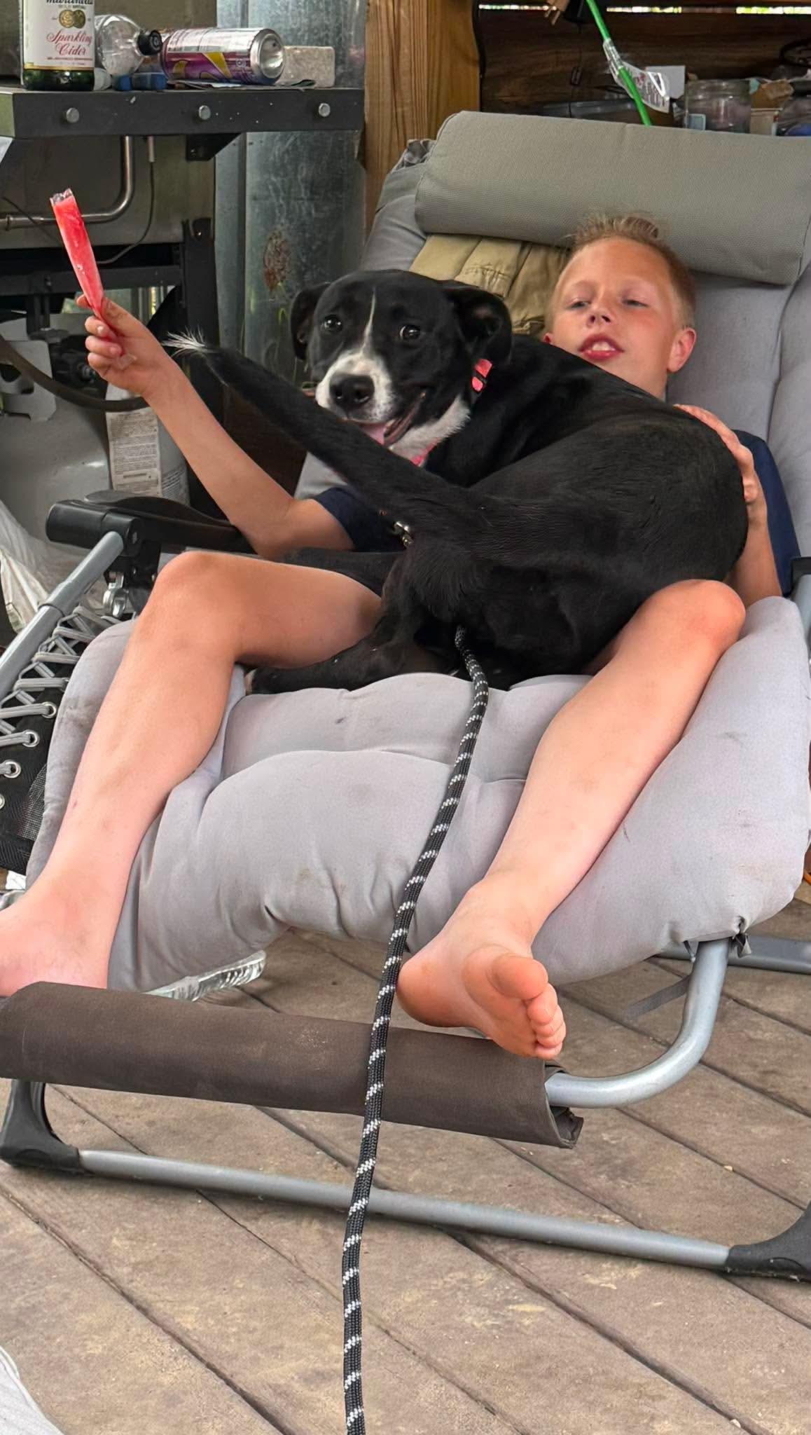 Enlarge Sallie, a Adopted mixed breed in Melbourne , FL image 4/4