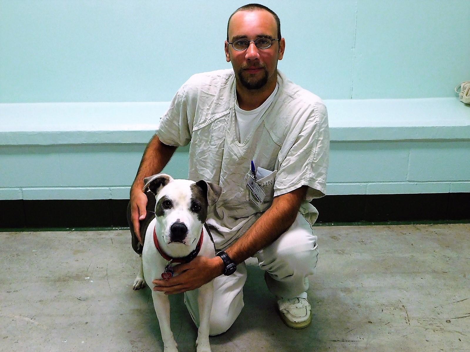 Trixie, Adult Female Pit Bull Terrier