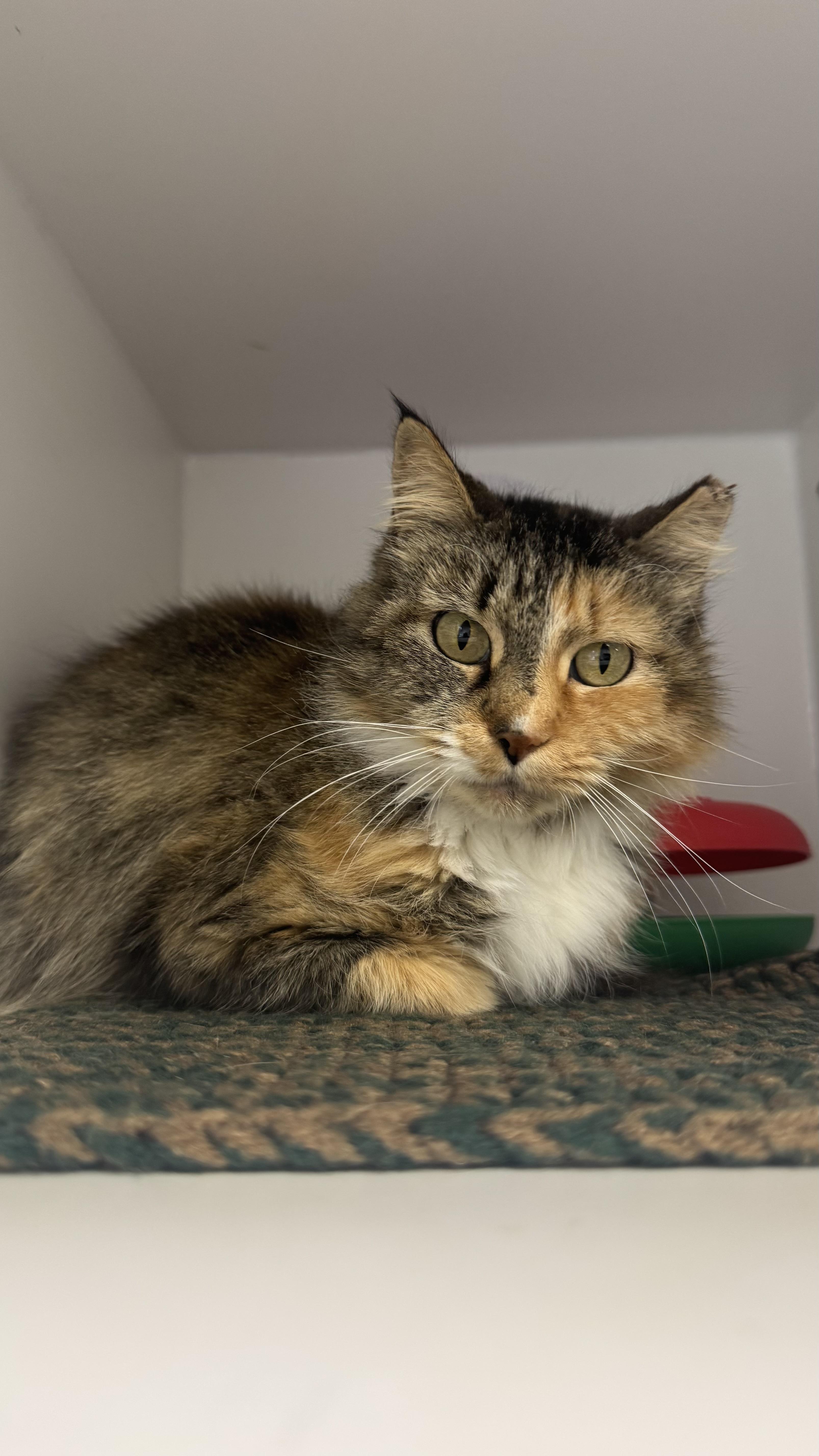 Maribella thumbnail 2