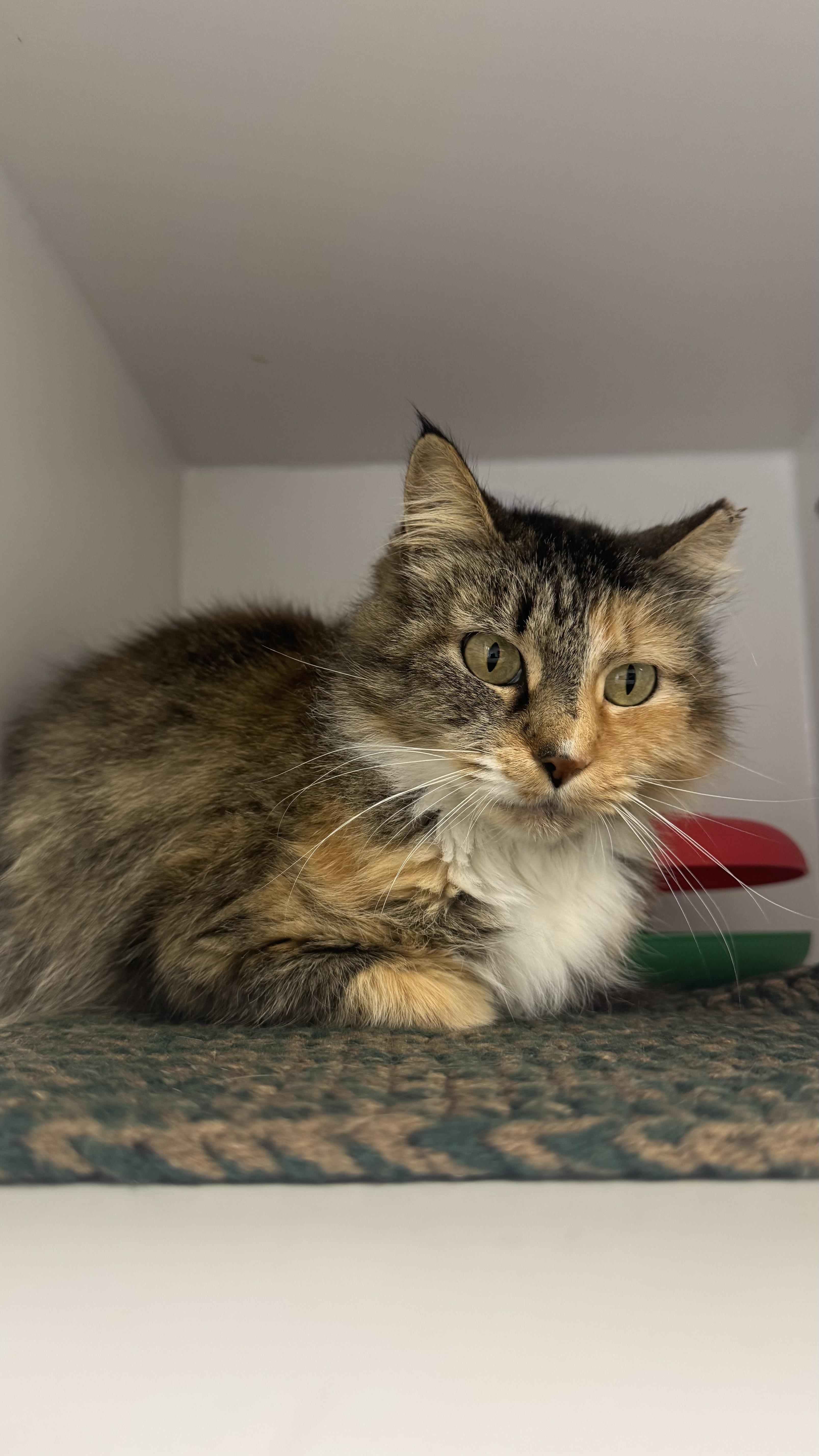 Maribella thumbnail 3