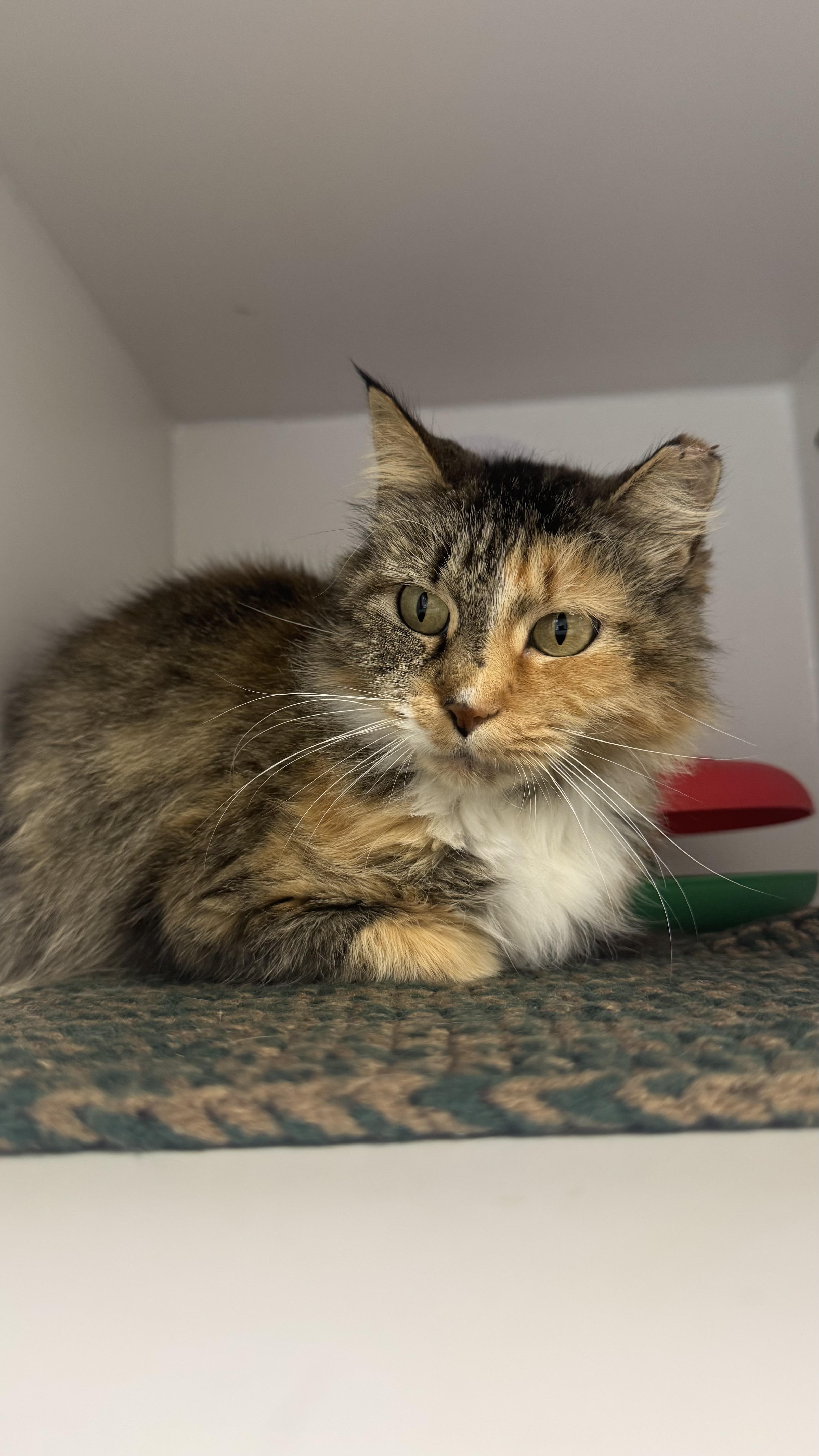 Maribella thumbnail 5