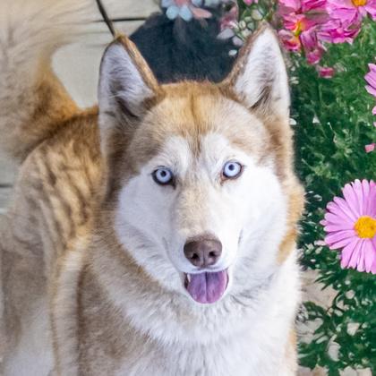 Thelma
