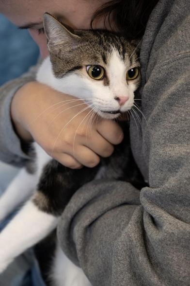 Smokey — thumbnail 2