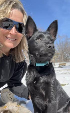 Enlarge Moxie, an adopted mixed breed in Watertown, WI image 5/5