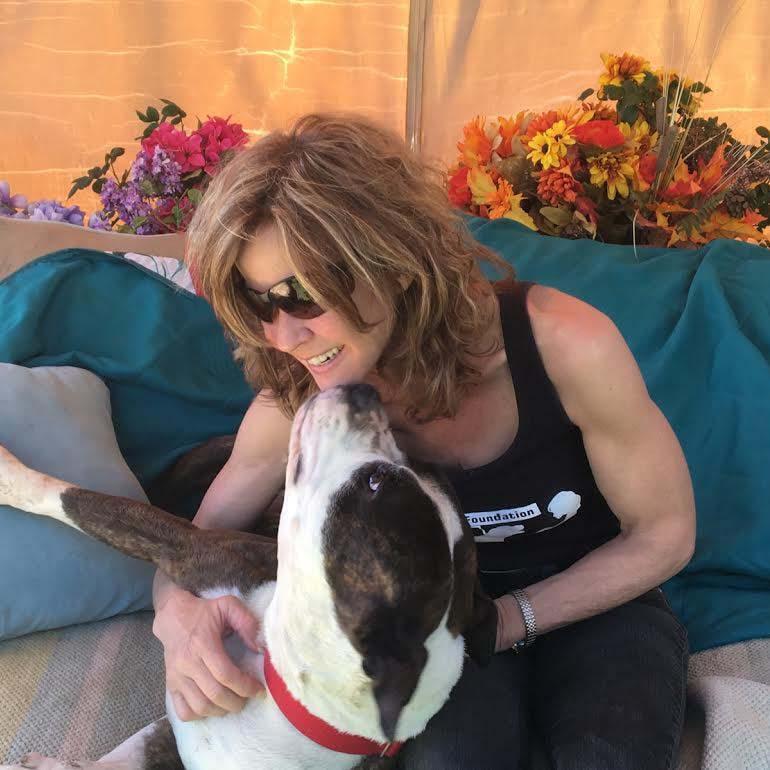 Adorable Emmett Smith_ handome brindle and white, a Adoptable mixed breed in Acton, CA image 2/12