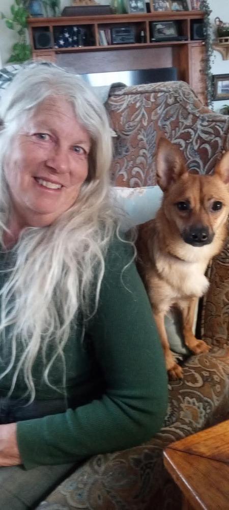 Enlarge Olive, a Adoptable mixed breed in Cortez, CO image 4/4