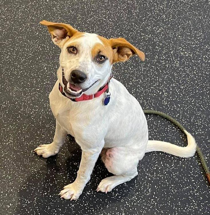 Boochie Tx thumbnail 4