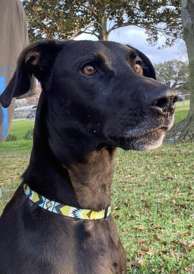 Finn (Finnias) — thumbnail 4