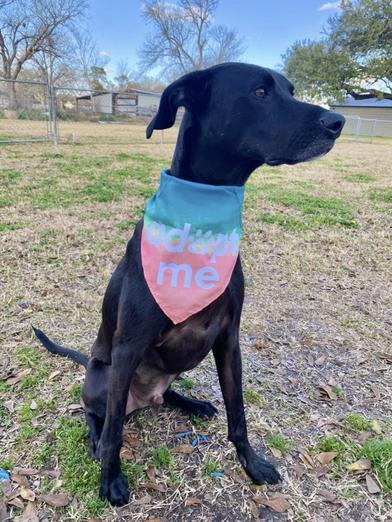 Finn (Finnias) — thumbnail 6