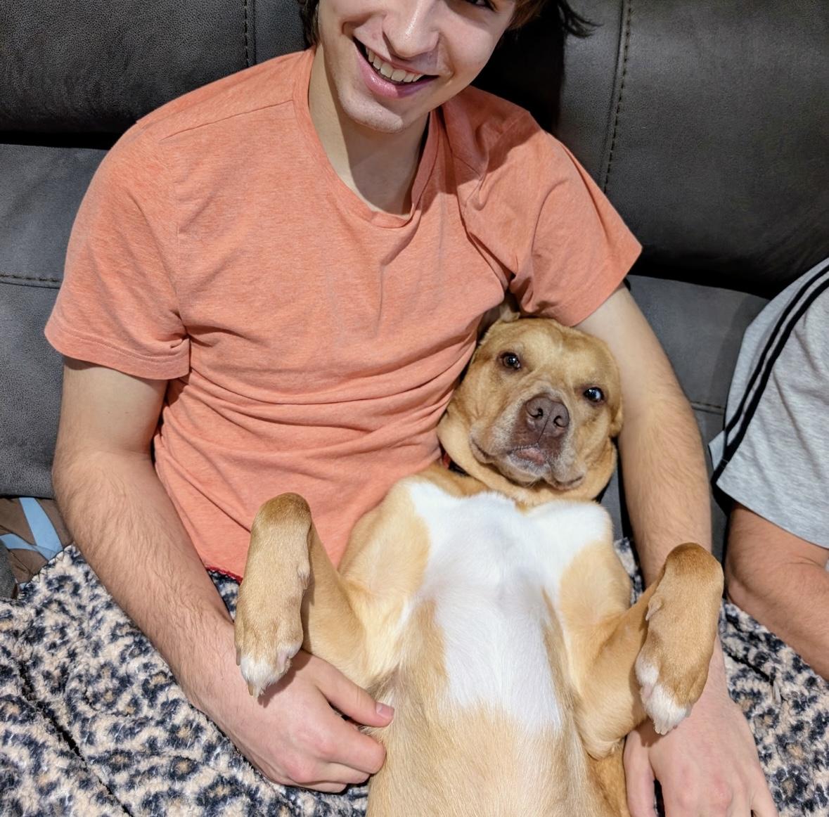 Enlarge Mocha, a Adoptable mixed breed in Elk River, MN image 2/6