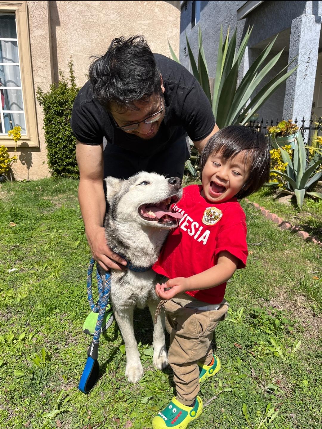 Princess Elsa! Mini husky!