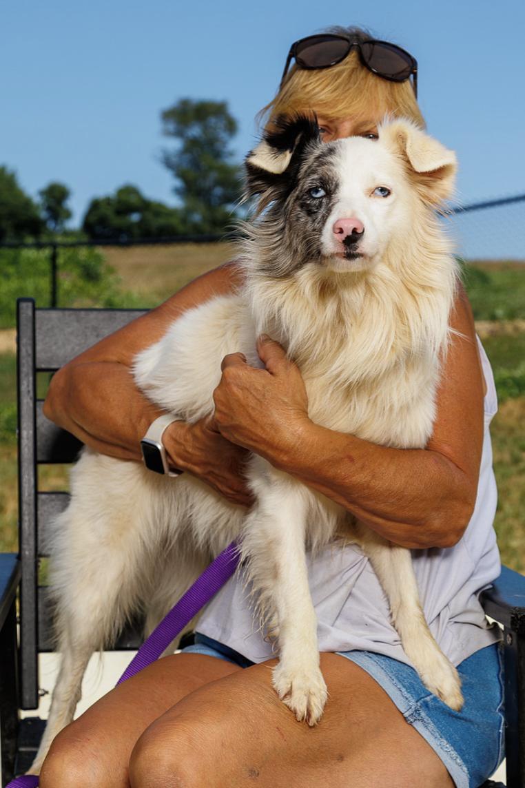 Enlarge Naomi, a Adoptable Australian Shepherd in Chester Springs, PA image 2/3
