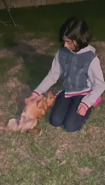 Enlarge Jeffrey, a Adopted mixed breed in Hamden, CT video 6/6