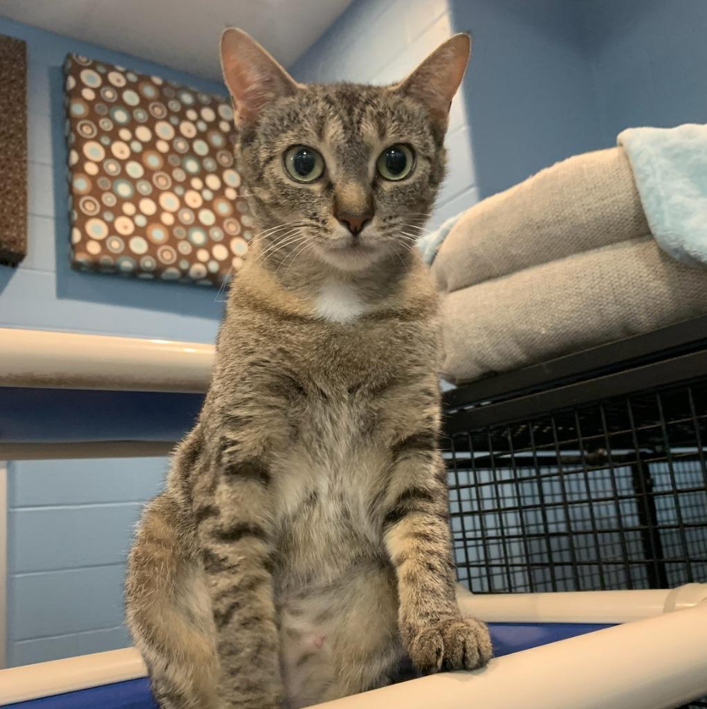 Ariel — thumbnail 2