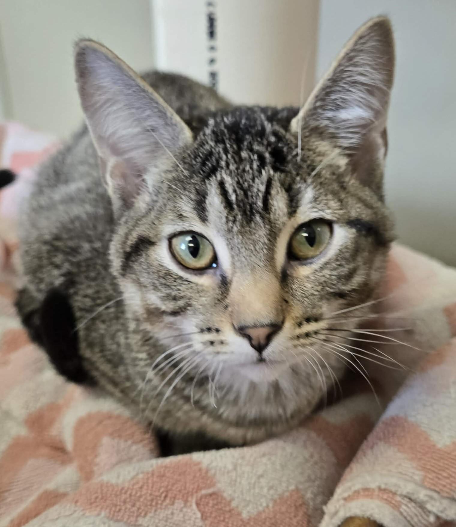 Earthquake thumbnail 4