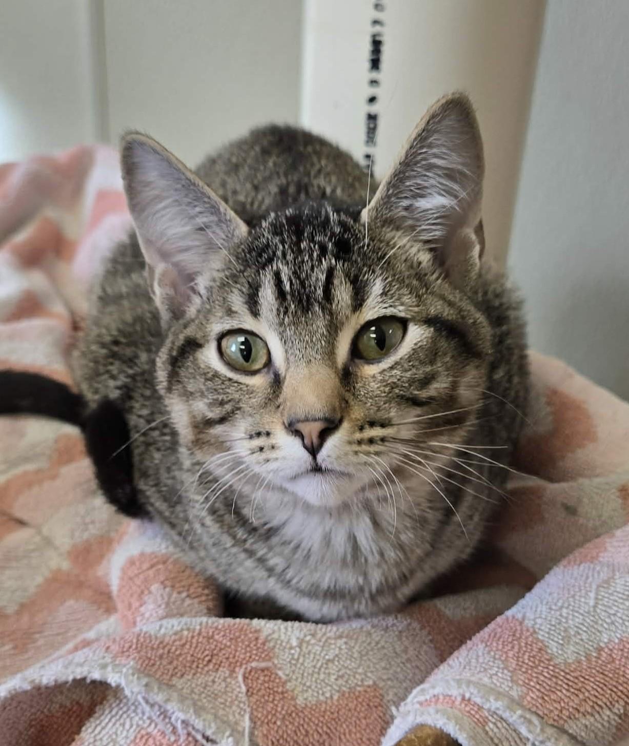 Earthquake thumbnail 2