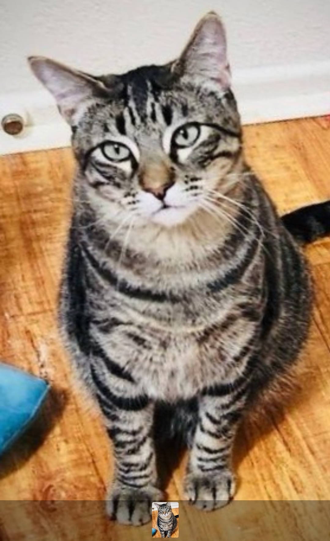 "goofball" Danny thumbnail 4