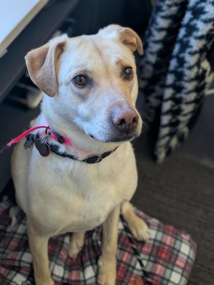 Zoey — thumbnail 3