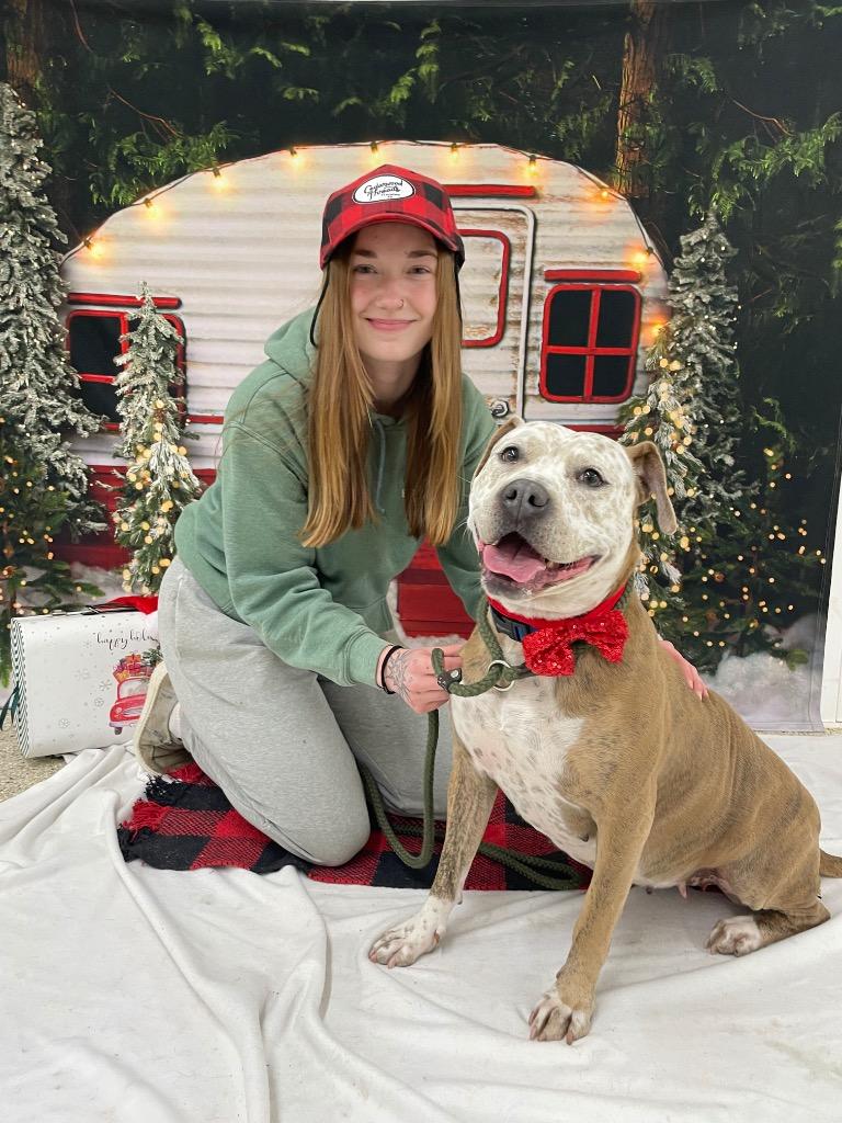 Enlarge Betty, a Adoptable Pit Bull Terrier in Glenfield, NY image 2/6