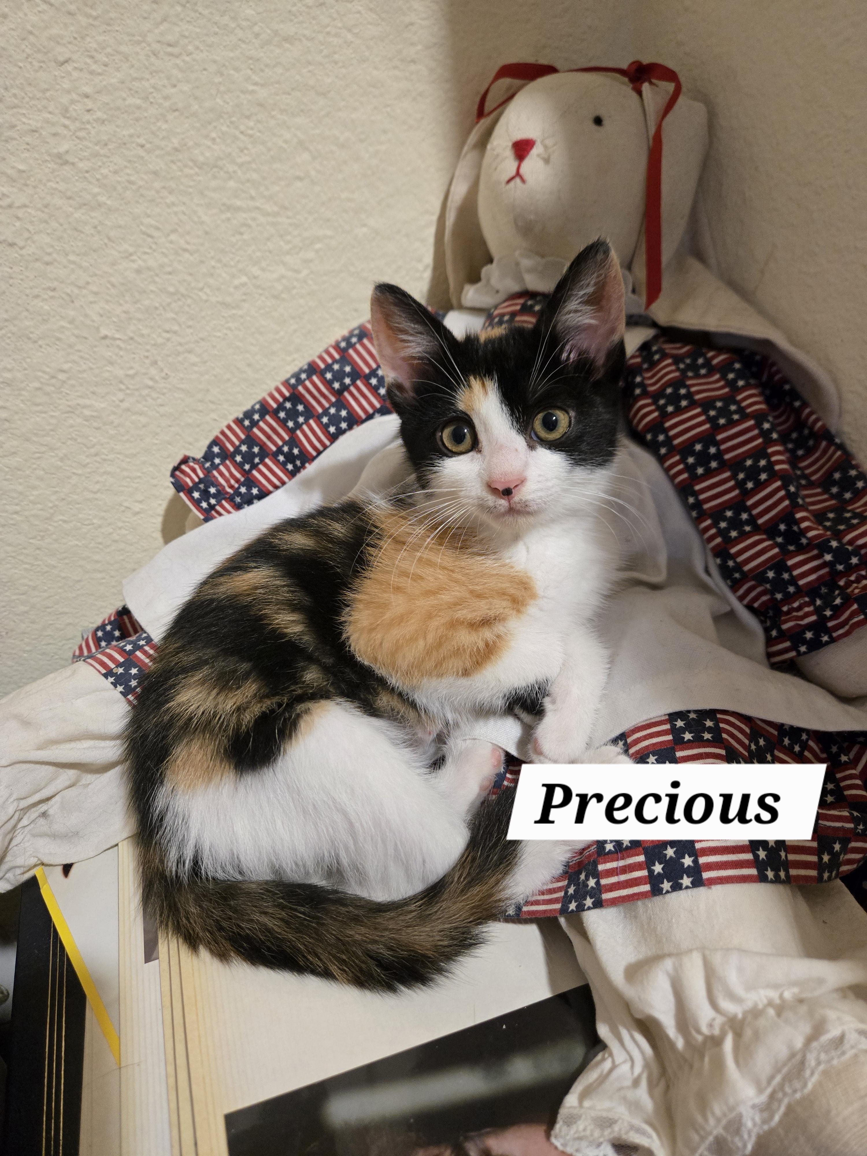 Precious photo 3
