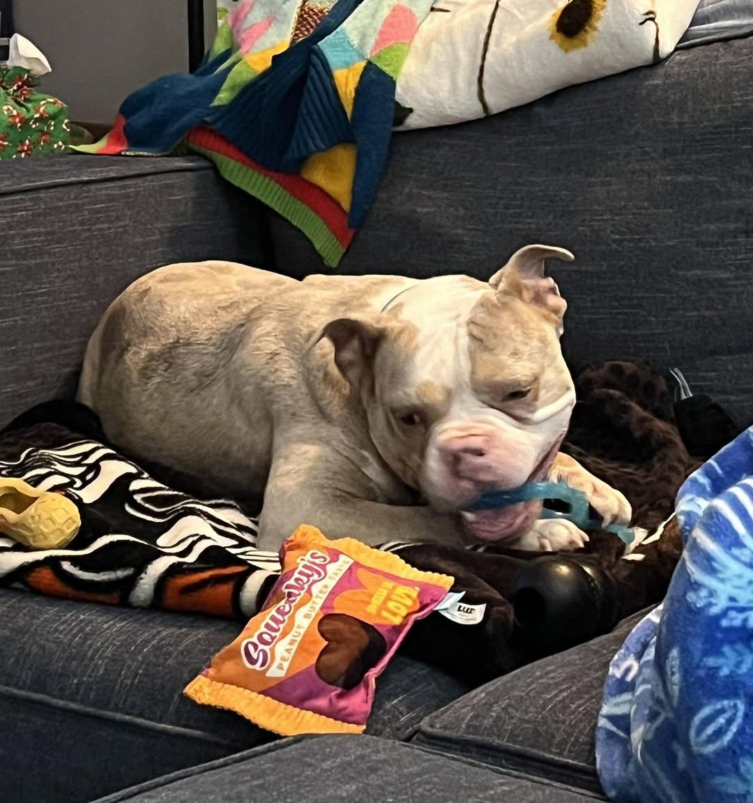 Miss Piggy thumbnail 3