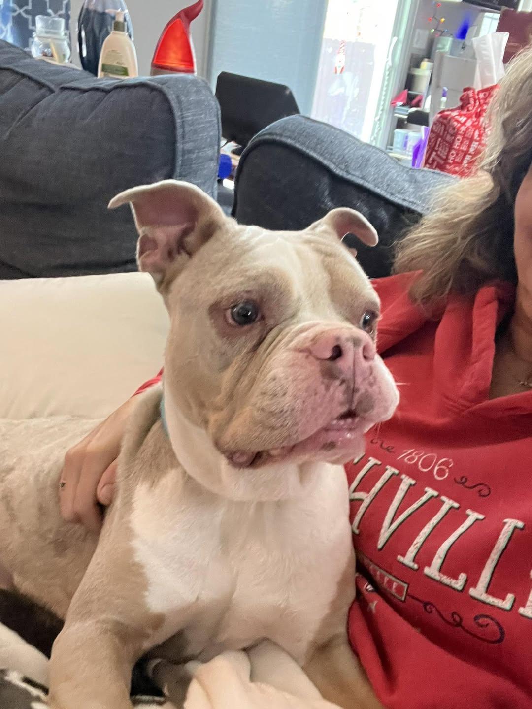 Miss Piggy thumbnail 4