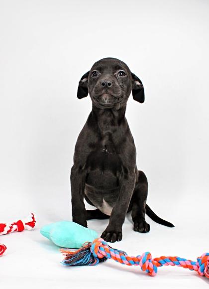 Ethel — thumbnail 2