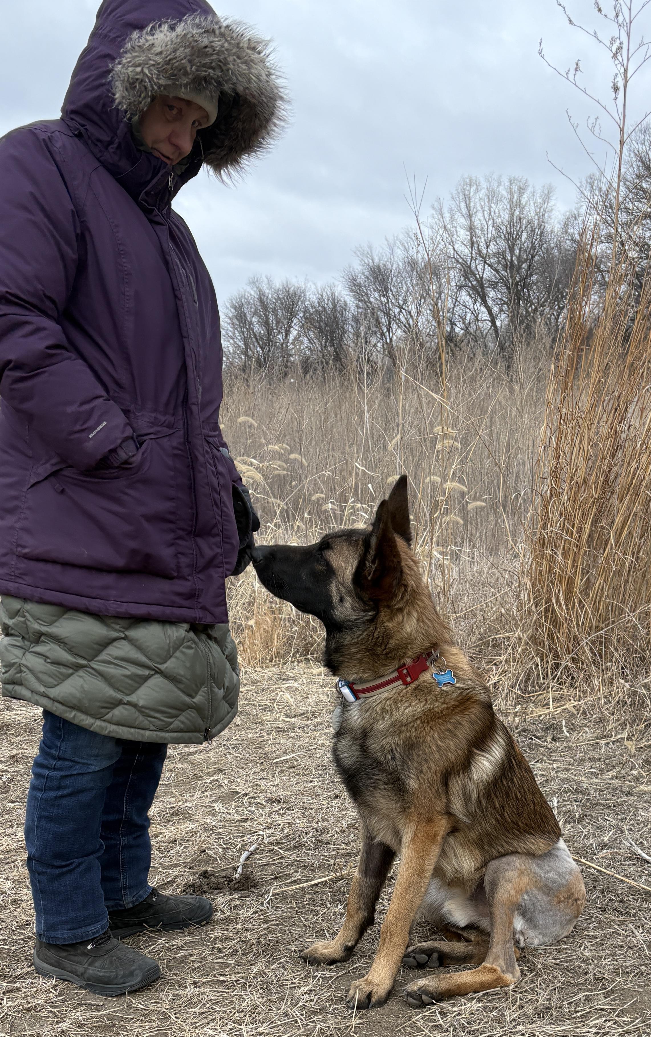 Drax, a Adoptable mixed breed in Sioux City, IA image 3/4