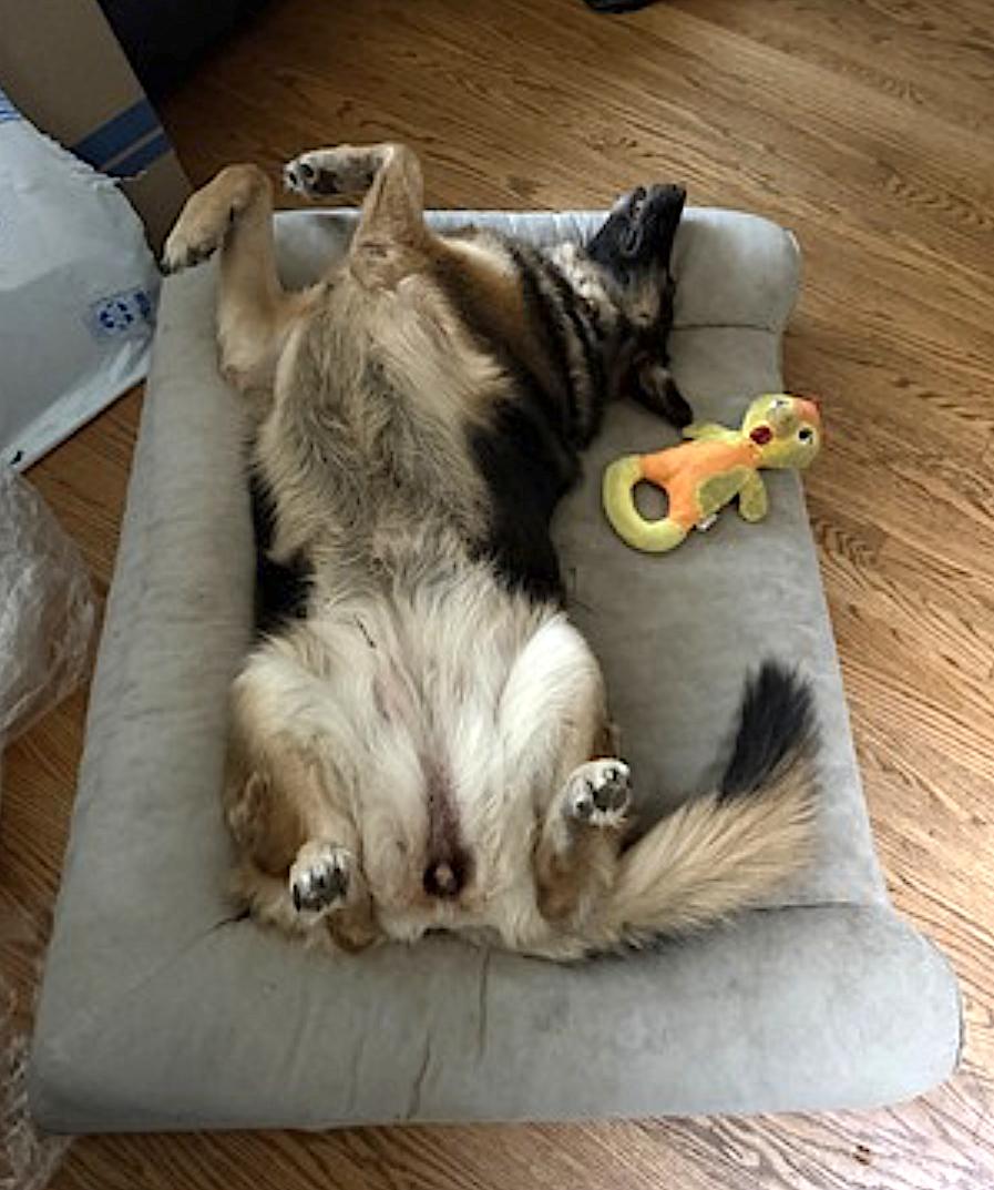 Sweetz — thumbnail 3