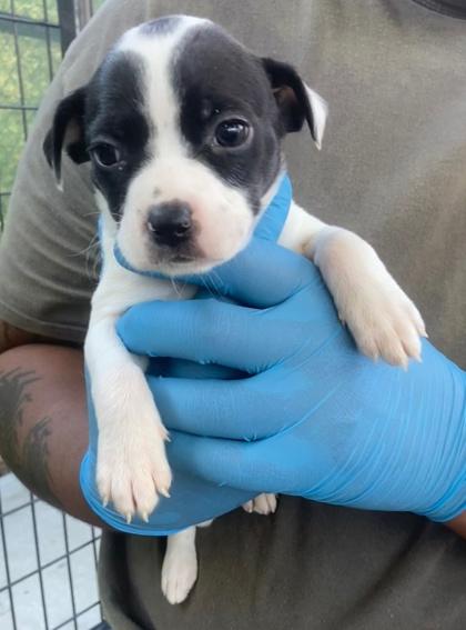 Edna — thumbnail 2