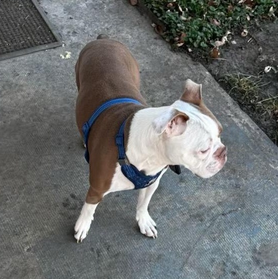 Jax In Ne thumbnail 2