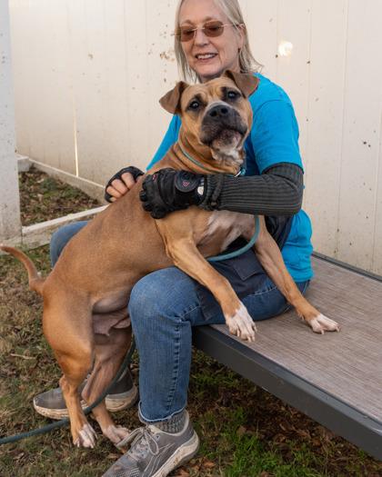 Kestrel - IN FOSTER, Adoptable, Adult Female Mixed Breed & Mixed Breed.