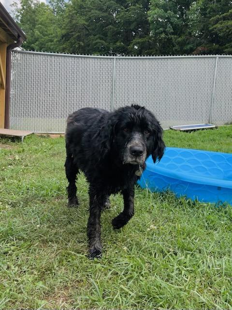 Shiloh