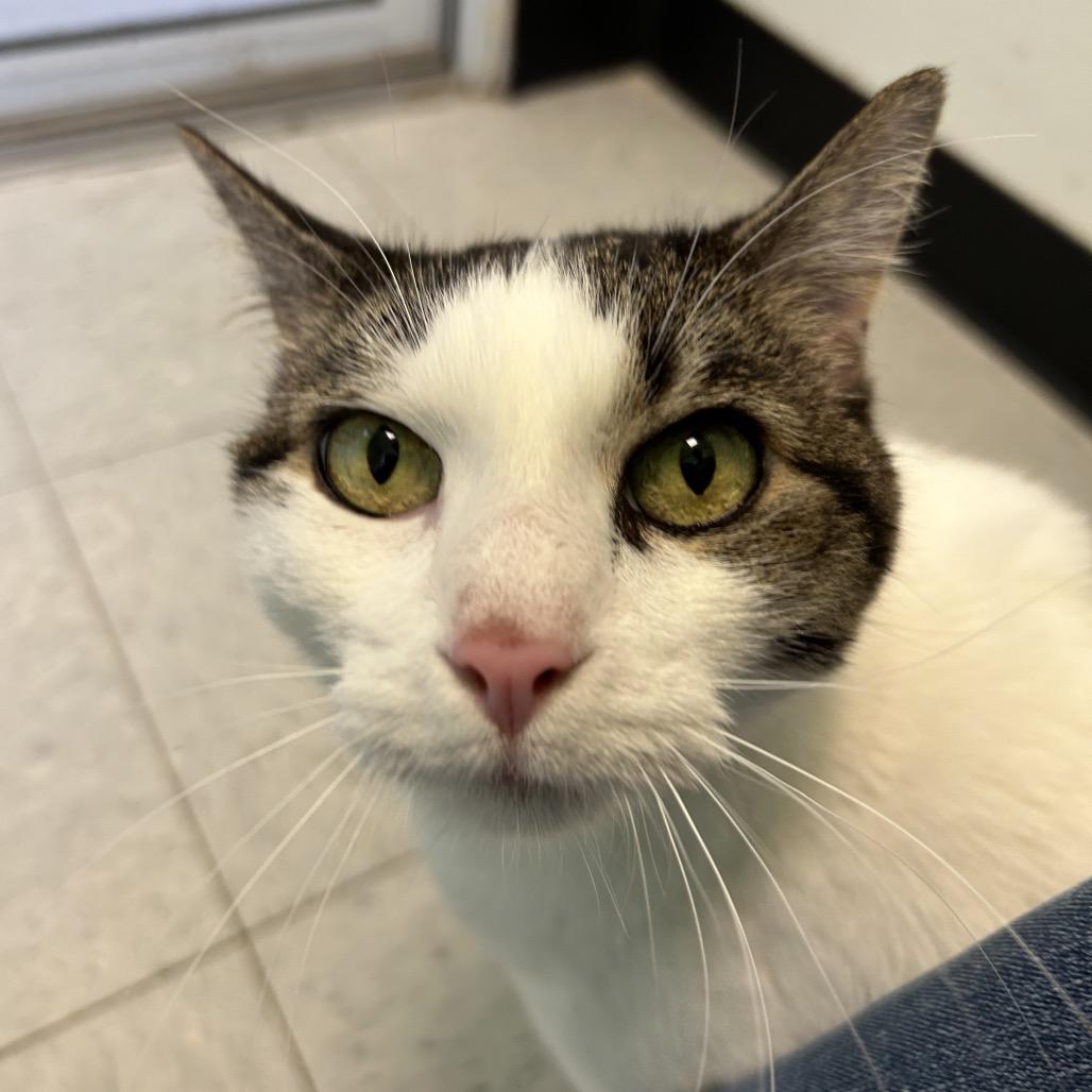 Redis — thumbnail 2