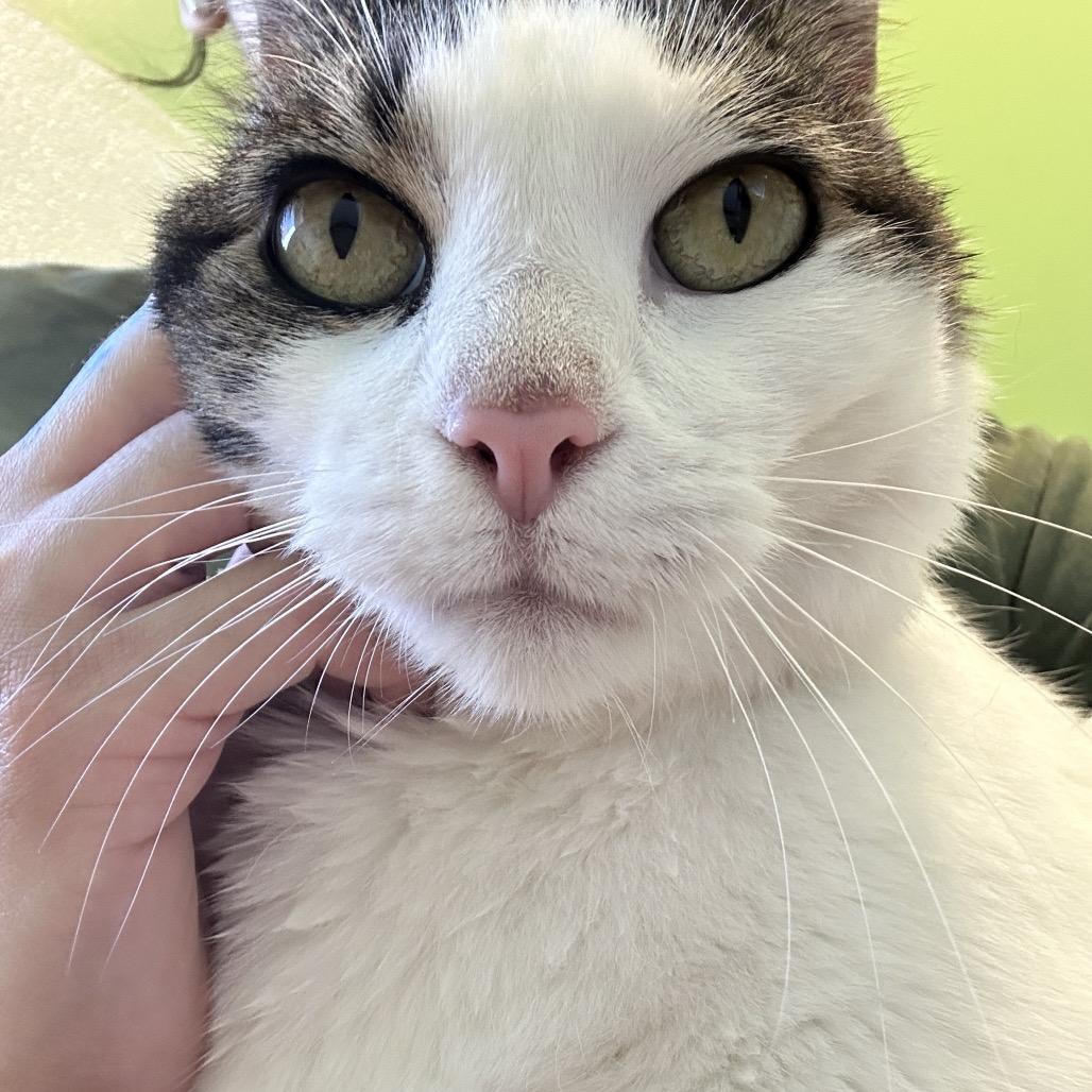 Redis — thumbnail 4