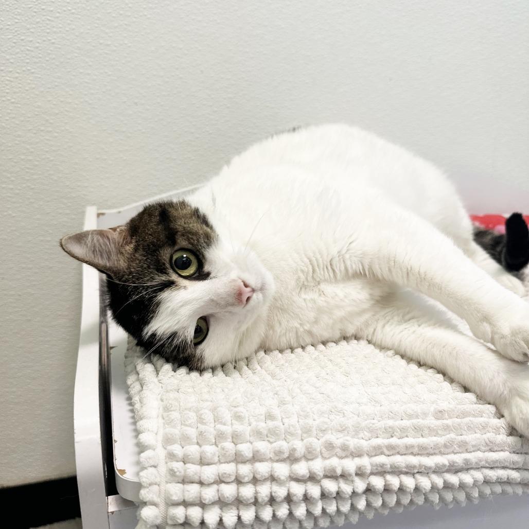 Redis — thumbnail 5