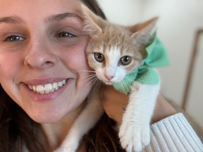 Rocket Guardians — thumbnail 5